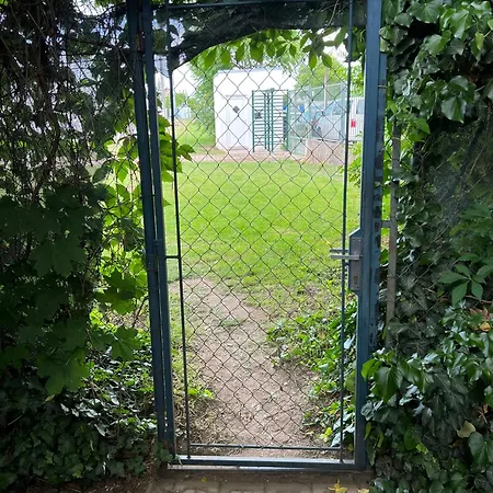 Rekreační Na Fotbalovém Stadionu *